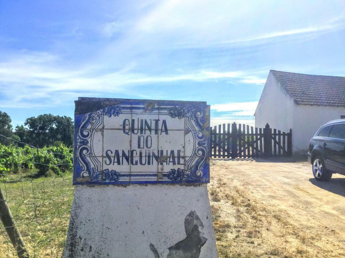 Quinta Do Sanguinhal Villa Rio Maior Exterior foto